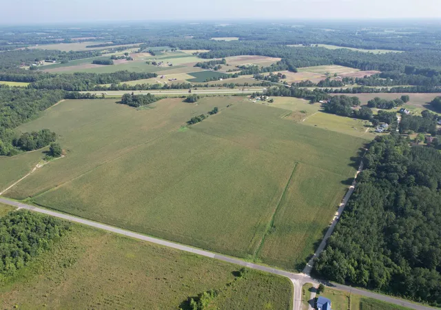 3rd image of 2436 Acres - Newman Swamp Rd, Lamar, SC 29069 | MLS# 2617128