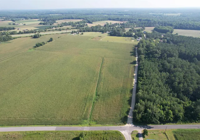 4th image of 2436 Acres - Newman Swamp Rd, Lamar, SC 29069 | MLS# 2617128