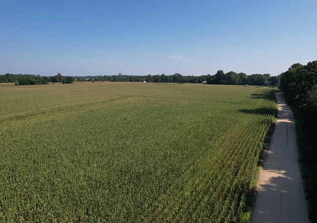 5th image of 2436 Acres - Newman Swamp Rd, Lamar, SC 29069 | MLS# 2617128