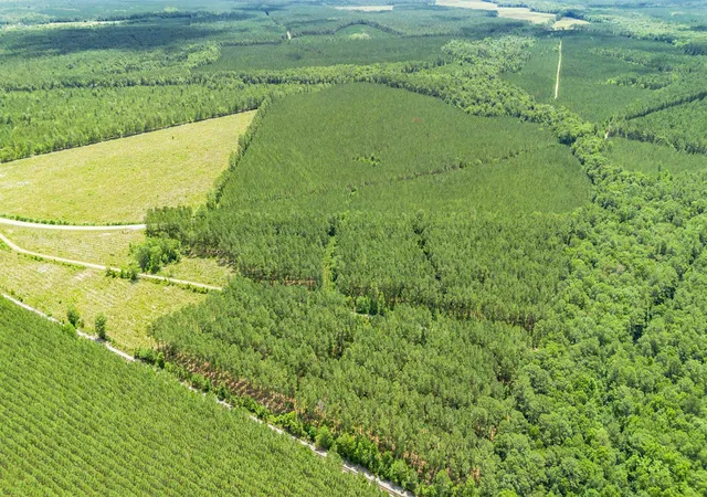 Photo 1 of Land for sale at Tract F Ten Acre Rd, Andrews, SC 29510 | MLS# 2617143 | Listing updated on 2026-10-02