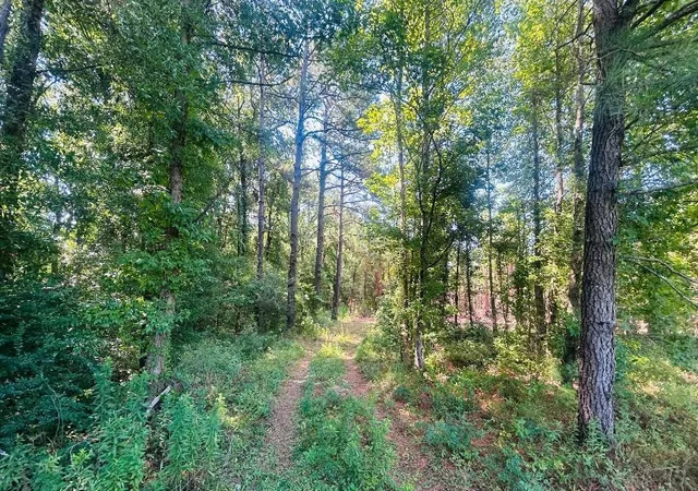 Homes for sale in Kingstree, SC | 1858 Acres   Turkey Ln, Kingstree, SC 29556 | MLS# 2617157