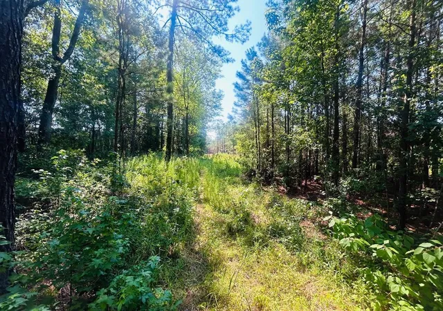 Homes for sale in Kingstree, SC | 1858 Acres - Turkey Ln, Kingstree, SC 29556 | MLS# 2617157