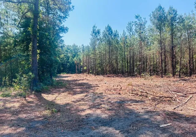 Homes for sale in Kingstree, SC | 1858 Acres - Turkey Ln, Kingstree, SC 29556 | MLS# 2617157