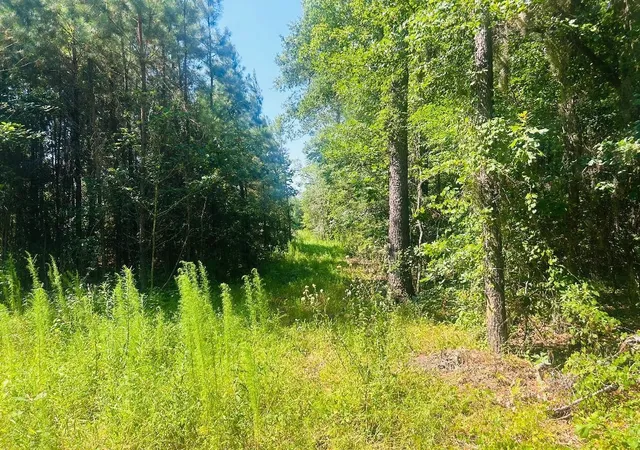 Homes for sale in Kingstree, SC | 1858 Acres   Turkey Ln, Kingstree, SC 29556 | MLS# 2617157