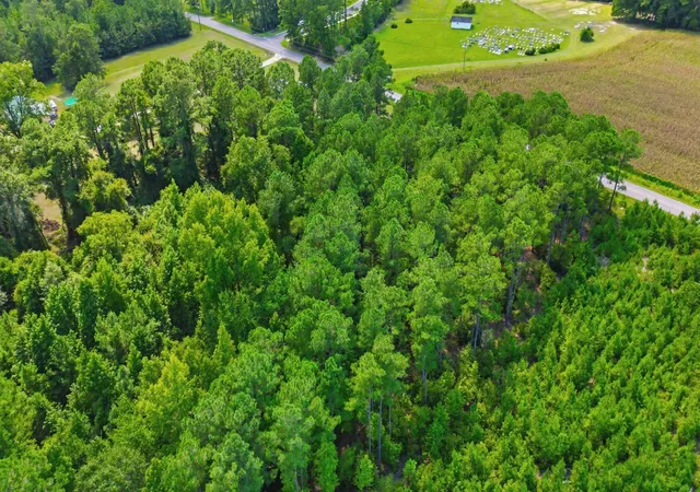 Photo 2 of Land for sale at Tbd Flag Patch Rd, Loris, SC 29569 | MLS# 2617193 | Listing updated on 2026-08-21