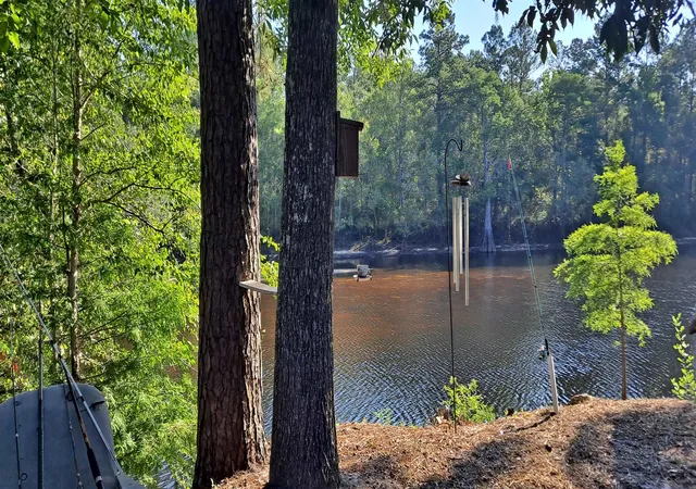 20th image of 501 Trussel Rd, Andrews, SC 29510 | MLS# 2617283