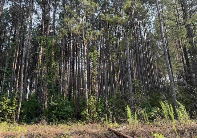 2nd image of 0 S Country Club Rd, Lake City, SC 29560 | MLS# 2617284