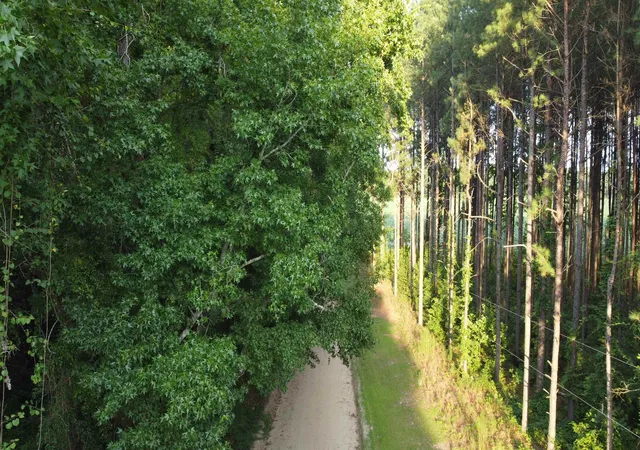 3rd image of 0 S Country Club Rd, Lake City, SC 29560 | MLS# 2617284
