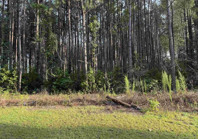 4th image of 0 S Country Club Rd, Lake City, SC 29560 | MLS# 2617284