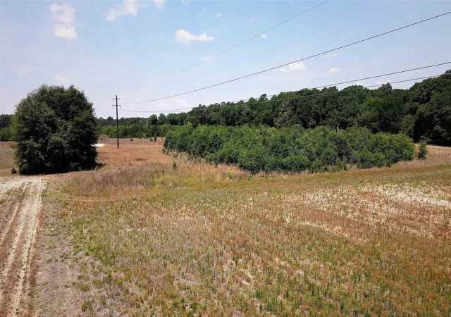 32nd image of 2510 Acres   Society Hill Rd, Darlington, SC 29532 | MLS# 2617523