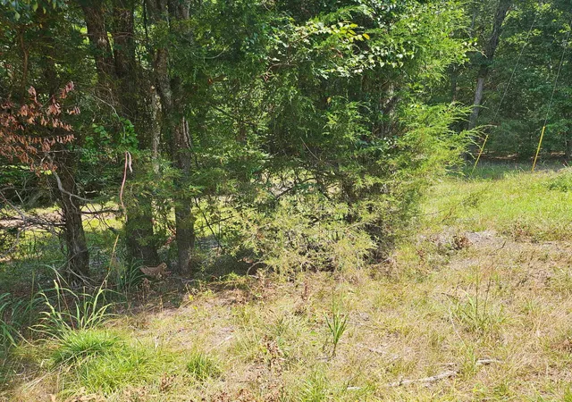 Photo 3 of Land for sale at 6142 Highway 252, Donalds, SC 29638 | MLS# 2617580 | Listing updated on 2026-08-04