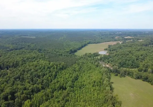 Photo 4 of Land for sale at 6070 Highway 252, Donalds, SC 29638 | MLS# 2617582 | Listing updated on 2026-08-04