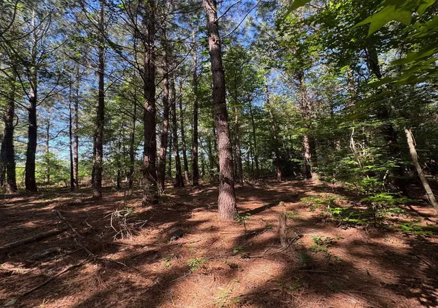 4th image of Tbd Derrick Ct, Marion, SC 29571 | MLS# 2617837