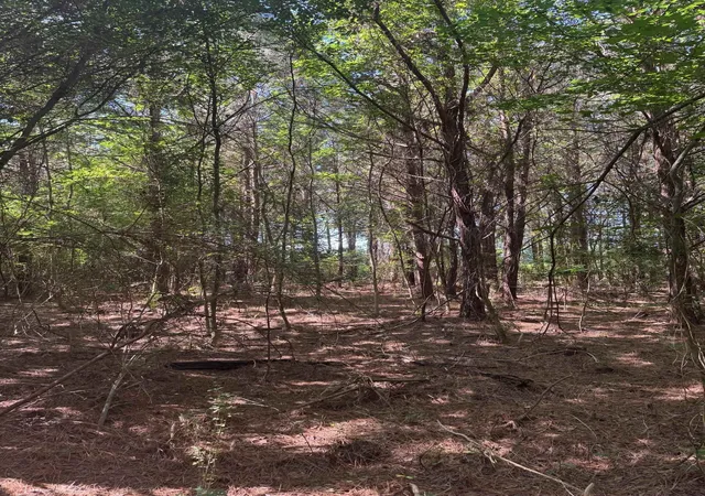 5th image of Tbd Derrick Ct, Marion, SC 29571 | MLS# 2617837