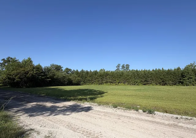 5th image of Tbd Seletha Ln, Loris, SC 29569 | MLS# 2617865