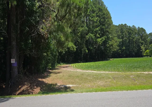 Photo 2 of Land for sale at Tbd4 Highway 111, Little River, SC 29566 | MLS# 2617971 | Listing updated on 2026-07-18