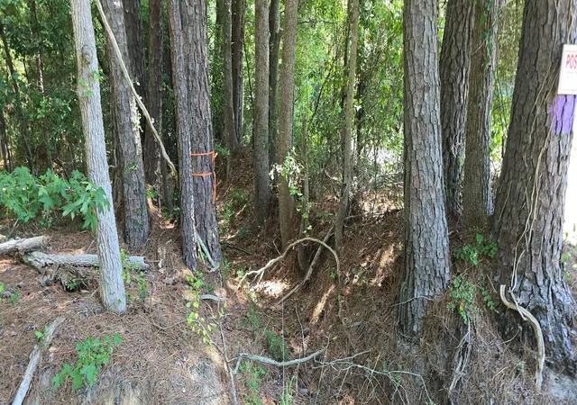 Photo 3 of Land for sale at Tbd4 Highway 111, Little River, SC 29566 | MLS# 2617971 | Listing updated on 2026-07-18