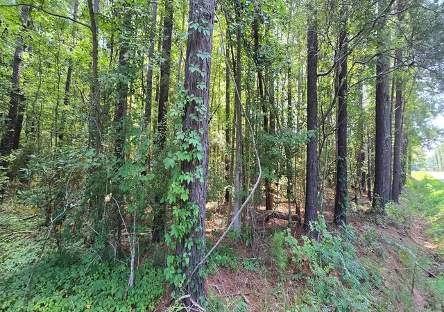Photo 3 of Land for sale at Tbd4 Highway 111, Little River, SC 29566 | MLS# 2617971 | Listing updated on 2026-07-18