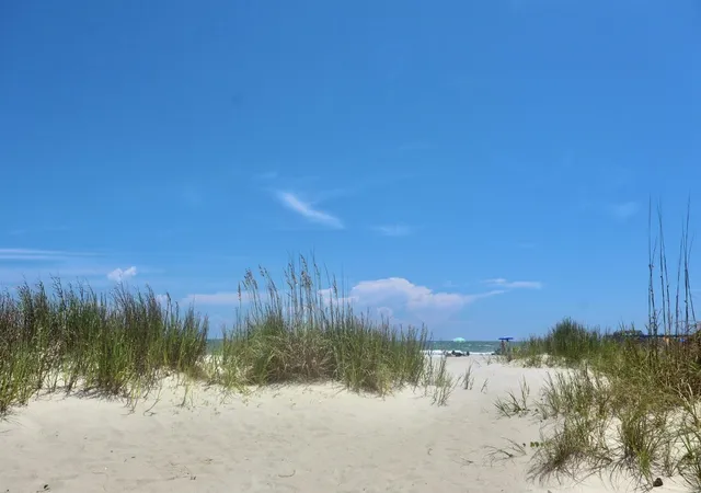 47th image of 502 N Waccamaw Dr #302, Murrells Inlet, SC 29576 | MLS# 2618024