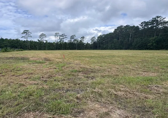 2nd image of 6178 Hwy 701 South, Conway, SC 29527 | MLS# 2618213