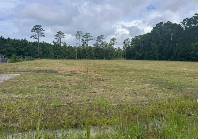 3rd image of 6178 Hwy 701 South, Conway, SC 29527 | MLS# 2618213