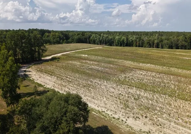 15th image of 2757 Lees Landing Circle, Conway, SC 29526 | MLS# 2618267