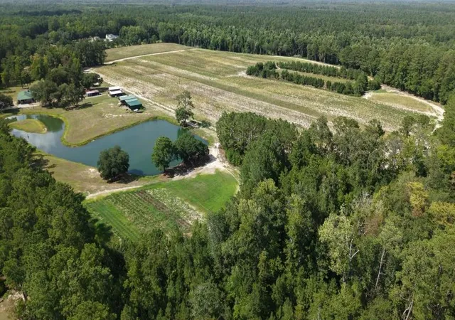 2nd image of 2757 Lees Landing Circle, Conway, SC 29526 | MLS# 2618267