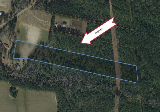 Land for sale at Tbd U A Johnson Ln, Galivants Ferry, SC 29544 | MLS# 2618354