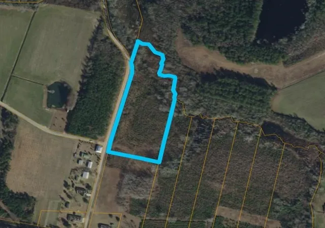 34th image of 1391 Justice Loop, Loris, SC 29569 | MLS# 2618362