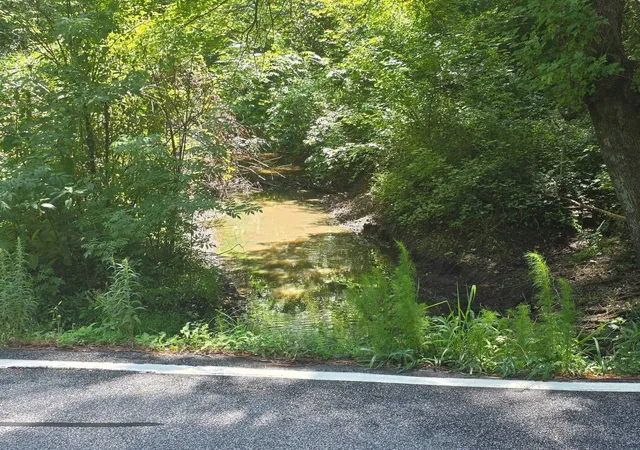 Photo 2 of Sale Pending at Dunbar Hwy, Blenheim, SC 29516 | MLS# 2618406 | Listing updated on 2026-07-27