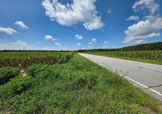 Photo 3 of Sale Pending at Dunbar Hwy, Blenheim, SC 29516 | MLS# 2618406 | Listing updated on 2026-07-27