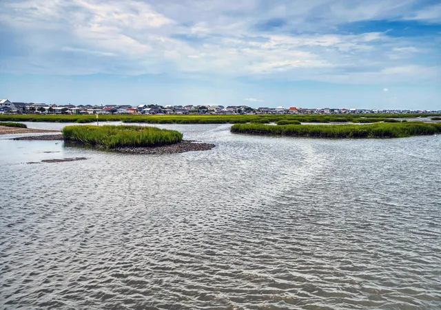 2nd image of 401 Cambridge Cir, Murrells Inlet, SC 29576