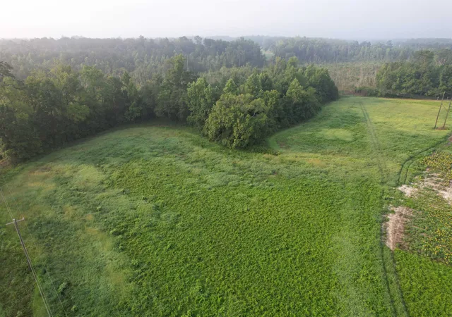 2nd image of 958 Acres   S Deerfield Rd, Johnsonville, SC 29555 | MLS# 2618767