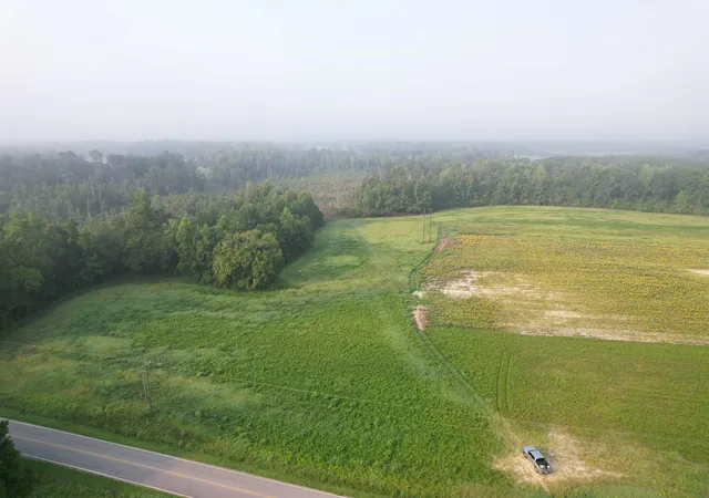 3rd image of 958 Acres - S Deerfield Rd, Johnsonville, SC 29555 | MLS# 2618767
