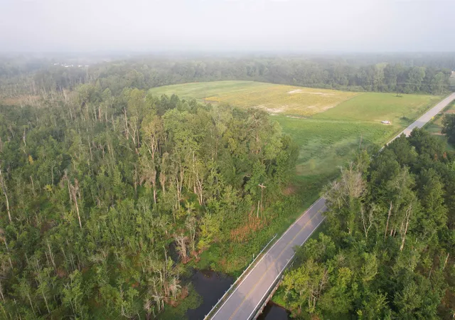 4th image of 958 Acres - S Deerfield Rd, Johnsonville, SC 29555 | MLS# 2618767