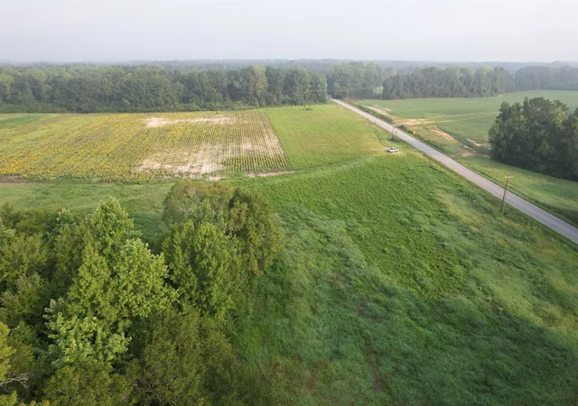 5th image of 958 Acres - S Deerfield Rd, Johnsonville, SC 29555 | MLS# 2618767