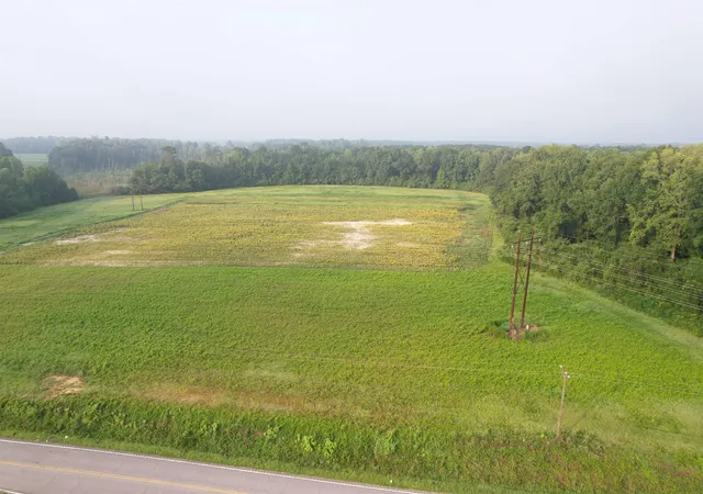 3rd image of 1774 Acres - S Deerfield Rd, Johnsonville, SC 29555 | MLS# 2618769