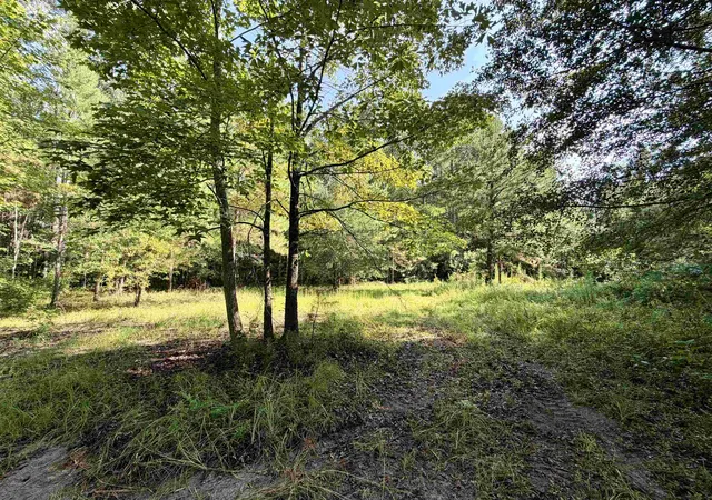 Photo 1 of Land for sale at 505 Acres Epps Rd, New Zion, SC 29111 | MLS# 2618897 | Listing updated on 2026-08-31