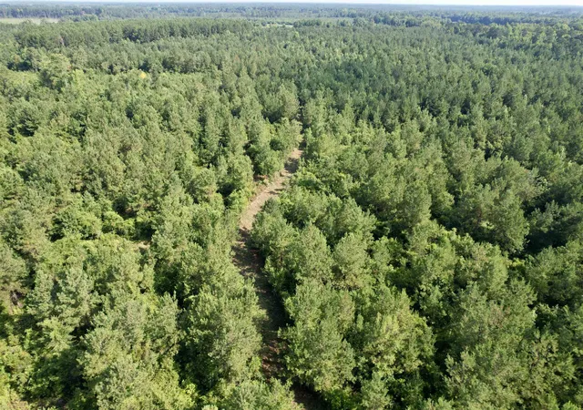 Photo 23 of Land for sale at 505 Acres Epps Rd, New Zion, SC 29111 | MLS# 2618897 | Listing updated on 2026-08-31