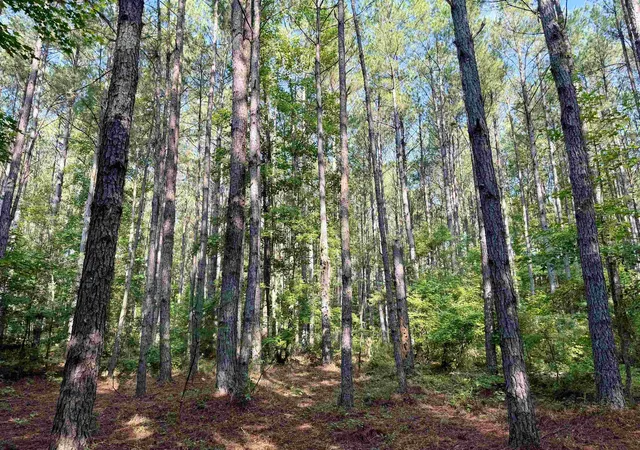 Photo 4 of Land for sale at 505 Acres Epps Rd, New Zion, SC 29111 | MLS# 2618897 | Listing updated on 2026-08-31
