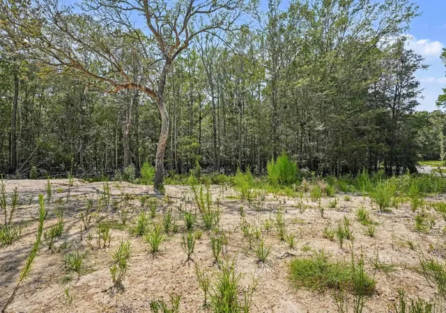 2nd image of 120 Waccamaw River Rd, Conway, SC 29526 | MLS# 2618960