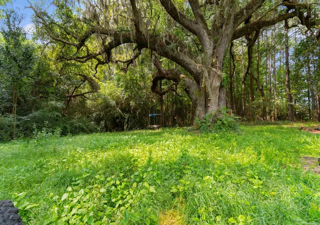 Photo 3 of Land for sale at 6518 N Fraser St, Georgetown, SC 29440 | MLS# 2619176 | Listing updated on 2026-08-17