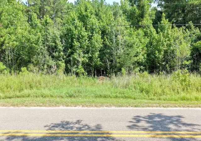 Photo 2 of Land for sale at Tbd Right Hand Ct, Georgetown, SC 29440 | MLS# 2619196 | Listing updated on 2026-08-31