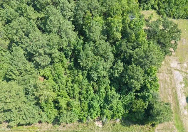 Photo 3 of Land for sale at Tbd Right Hand Ct, Georgetown, SC 29440 | MLS# 2619196 | Listing updated on 2026-08-31