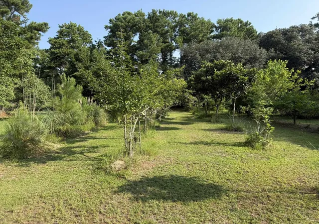 Photo 2 of Sale Pending at 236 Wraggs Fry Rd, Georgetown, SC 29440 | MLS# 2619232 | Listing updated on 2026-08-28