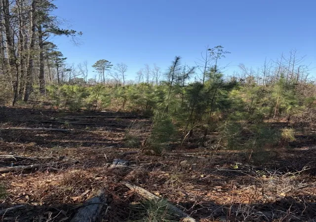 Photo 3 of Land for sale at Tbd Vincent Rd, Mullins, SC 29574 | MLS# 2619299 | Listing updated on 2026-08-05