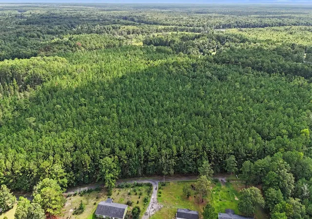 Photo 1 of Land for sale at Tbd Rustwood Dr, Georgetown, SC 29440 | MLS# 2619306 | Listing updated on 2026-09-15