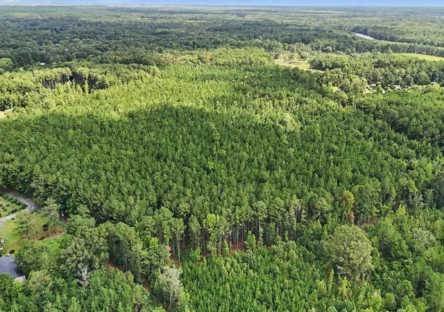 Photo 2 of Land for sale at Tbd Rustwood Dr, Georgetown, SC 29440 | MLS# 2619306 | Listing updated on 2026-09-15