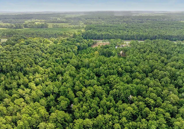 Photo 2 of Land for sale at Tbd Fraser St, Georgetown, SC 29440 | MLS# 2619600 | Listing updated on 2026-08-07