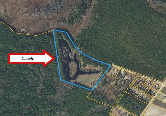 Photo 1 of Land for sale at Tbd Hardwick Rd, Nichols, SC 29581 | MLS# 2619705 | Listing updated on 2026-08-10